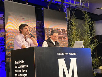 Toros de Las Morochas promediaron  US$ 3.075