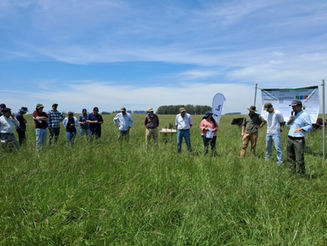 INIA presentó experimento de largo plazo en Treinta y Tres que evalúa la gestión del pastoreo sobre campo natural