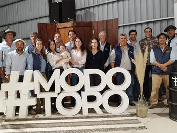 Toros de Las Piedras se vendieron a US$ 2.423