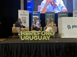 Plaza Rural remata desde este miércoles más de 16 mil vacunos