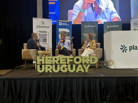 Plaza Rural remata desde este miércoles más de 16 mil vacunos