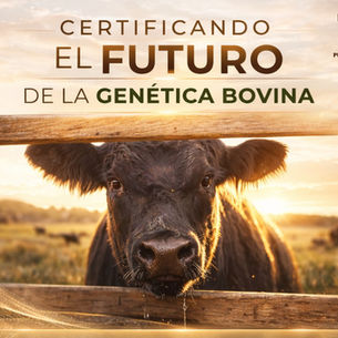 La tecnología Blockchain ya está disponible en Uruguay 