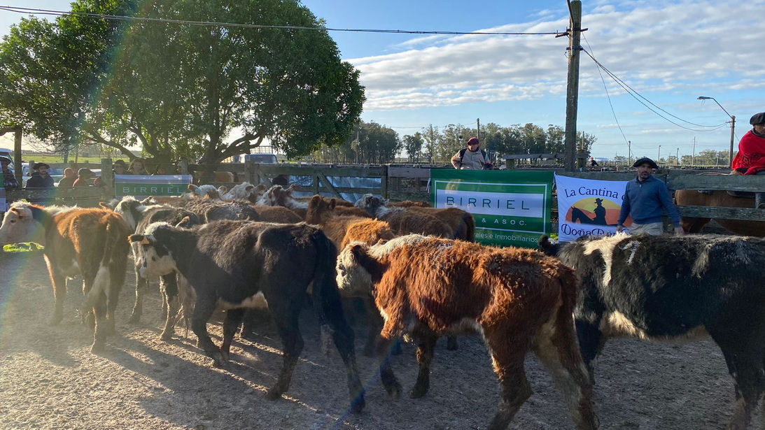 Buena feria de Birriel en Rocha