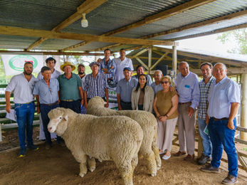 Buenas ventas de San Gerardo y Doña Elisa