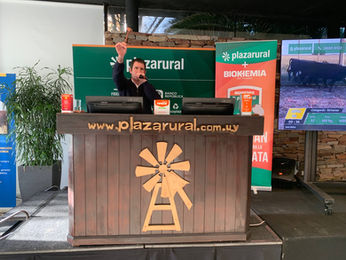 Plaza Rural remata más de 13 mil vacunos entre miércoles y jueves