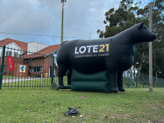 Ya remata Lote 21 desde Buenos Aires