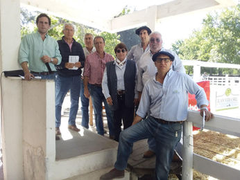 Gran venta de Santa Clara con promedio de US$ 3.152