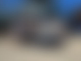 Ñu Porá vende sus toros este jueves