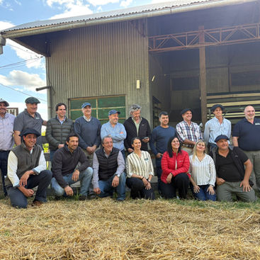 Éxito total en el primer remate “Los Toroterreno” en Guichón
