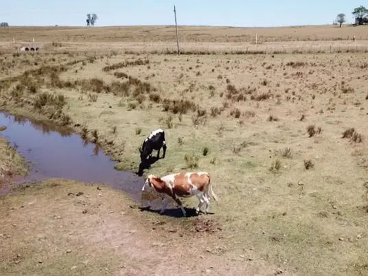 Llegó la emergencia agropecuaria para 10 departamentos