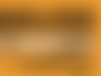 Campo Abierto va con 300 Angus en Minas este viernes