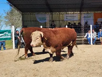 Kiyú dio el puntapie de la zafra con 3.617 de promedio