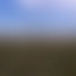 Rehabilitación del Campo Natural: El desafío de recuperar la esencia de nuestros suelos