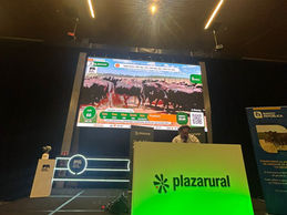 Mercado firme en primer día del Remate 317 de Plaza Rural