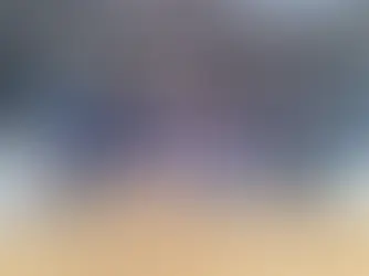 Toros de San Quintín promediaron US$ 3.180