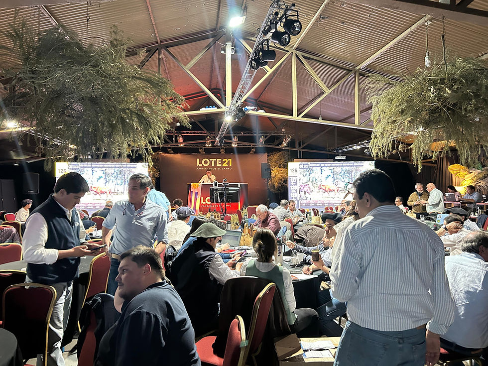Lote 21 colocó el 98% de la oferta en Expo Prado