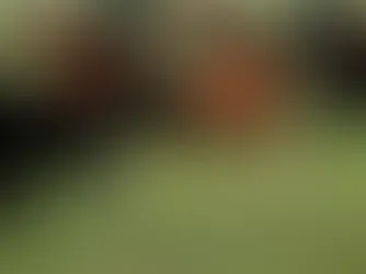 Momento Ganadero: la baja se pronunció en el inicio de semana