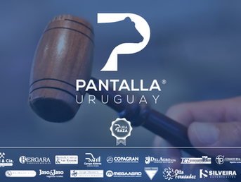 Este jueves llega Herencia, la venta premium de Pantalla Uruguay