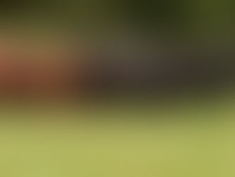 Don Nestor vende su torada este sábado