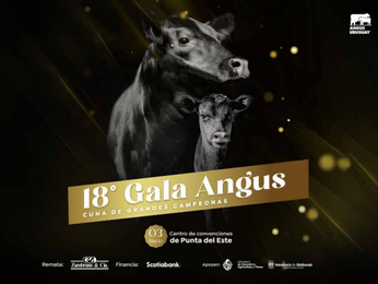 Mañana viernes vuelve Gala Angus; las preofertas ya están abiertas