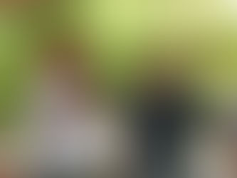 Esta tarde hay feria de Abelenda en Florida