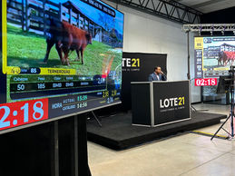 Lote 21 colocó el 99% de su oferta en primer remate de junio