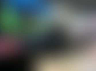 Lote 21 colocó el 99% de su oferta en primer remate de junio