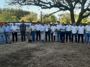 Toros de San Alberto se vendieron a US$ 2.930