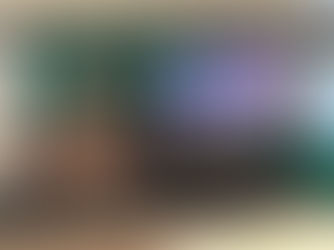 Plaza Rural tendrá una destacada oferta entre miércoles y jueves