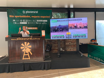 Plaza Rural tendrá una destacada oferta entre miércoles y jueves