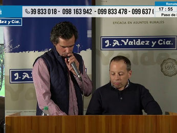 Buenas ventas de Valdez en La Higuera