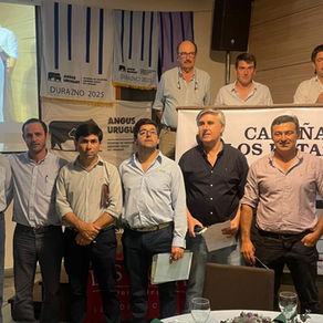 Los Retazos sale a la pista virtual con 40 toros y 95 vaquillonas Angus