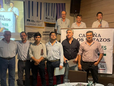 Los Retazos sale a la pista virtual con 40 toros y 95 vaquillonas Angus