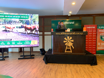 Plaza Rural encara último día de ventas con gran demanda