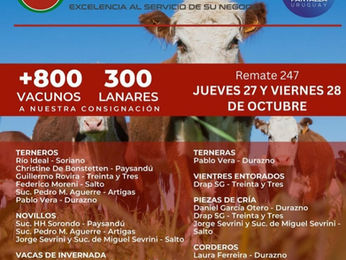 Megaagro lleva más de 800 vacunos y 300 lanares a Pantalla Uruguay