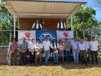 Exitoso remate de Shorthorn en Durazno