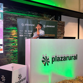 Plaza Rural, con mercado ágil, logró alto nivel de colocación 