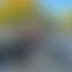 Exitosas ventas en el marco de Expo Angus en Florida