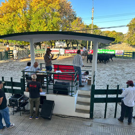 Exitosas ventas en el marco de Expo Angus en Florida