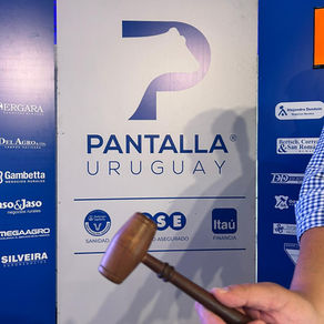 Pantalla Uruguay vendió 12 mil vacunos en dos días