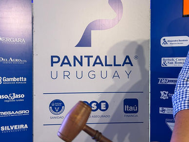 Pantalla Uruguay vendió 12 mil vacunos en dos días
