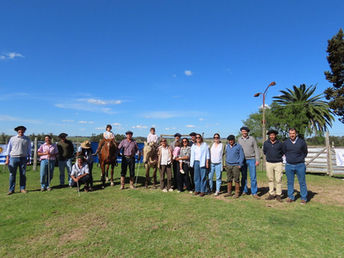 Este miércoles se venden los toros de San Gerardo en Florida