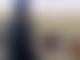 Birriel Hnos. cierra hoy el año con 540 vacunos y 700 lanares