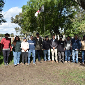 Colocación total y firme demanda en el remate “Toros en San José”