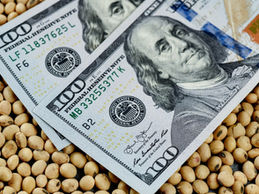 El dólar como la rana hervida: tres años de deterioro sin reacción