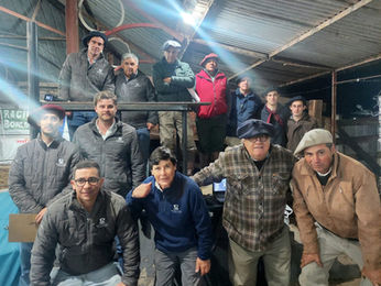 Éxito total en el remate de las cabañas Los Cerros de San Juan & Santander y La Matrera en Artigas.
