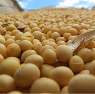 Un lunes dispar en Chicago