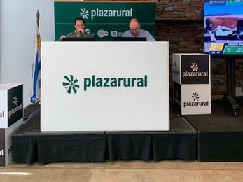 Plaza Rural ofrece más de 21 mil vacunos en tres días