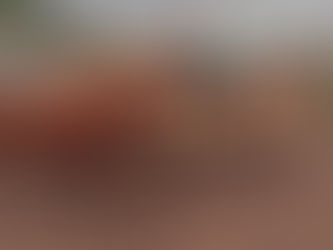 Exitosa feria de Birriel Hnos. en San Luis