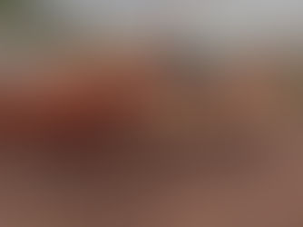 Exitosa feria de Birriel Hnos. en San Luis